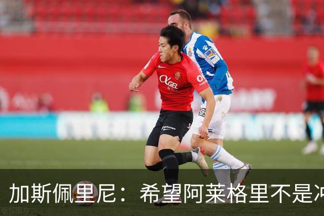加斯佩里尼：希望阿莱格里不是冲我生气，把他罚下的可不是我